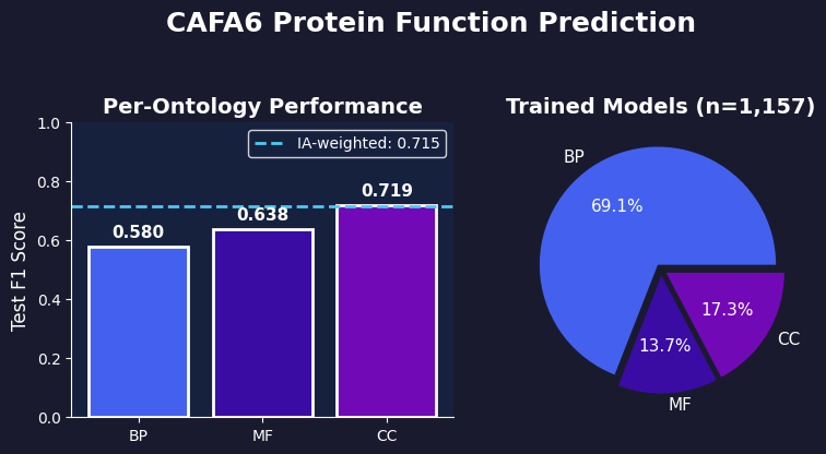 CAFA6 Results Summary